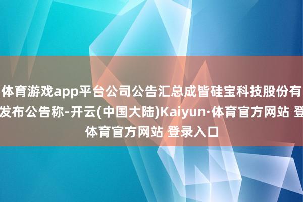 体育游戏app平台公司公告汇总成皆硅宝科技股份有限公司发布公告称-开云(中国大陆)Kaiyun·体育官方网站 登录入口
