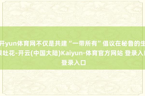开yun体育网不仅是共建“一带所有”倡议在秘鲁的生根吐花-开云(中国大陆)Kaiyun·体育官方网站 登录入口