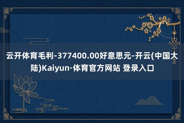 云开体育毛利-377400.00好意思元-开云(中国大陆)Kaiyun·体育官方网站 登录入口