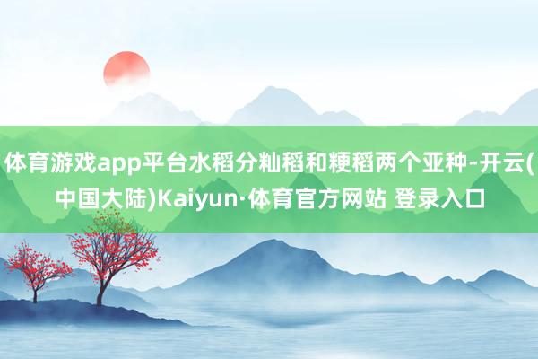 体育游戏app平台水稻分籼稻和粳稻两个亚种-开云(中国大陆)Kaiyun·体育官方网站 登录入口